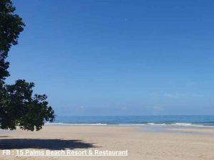 15 ปาล์ม บีช รีสอร์ต (15 Palms Beach Resort)