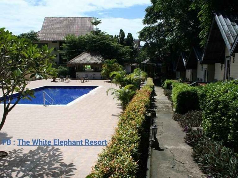 เดอะไวท์ เอลเลแฟนต์ รีสอร์ต (The White Elephant Resort)